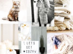 un moodboard aux allures d'hiver blanc à l'honneur couverture lifestyle cocooning décor mode fashion pull laine